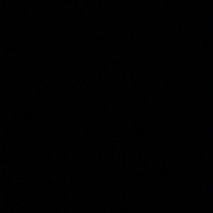 Meet your Posher, Madelynn